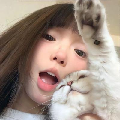宠物顽皮豹鹅卵石
